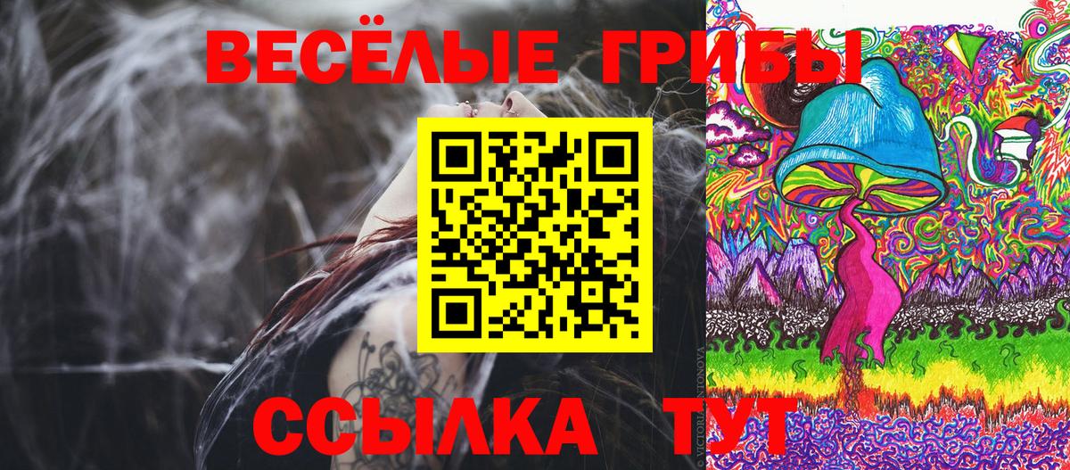 Псилоцибиновые грибы мицелий  Псилоцибиновые грибы GOLDEN TEACHER  где продают   Знаменск  Вход с VPN 